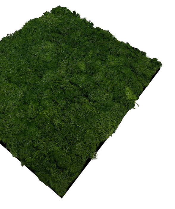 Jangal Modular Wall mospanel 52 x 52 cm - Dark Green